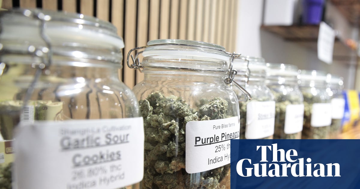 Cannabis commercialisation not decriminalisation drives up usage, study finds | Cannabis