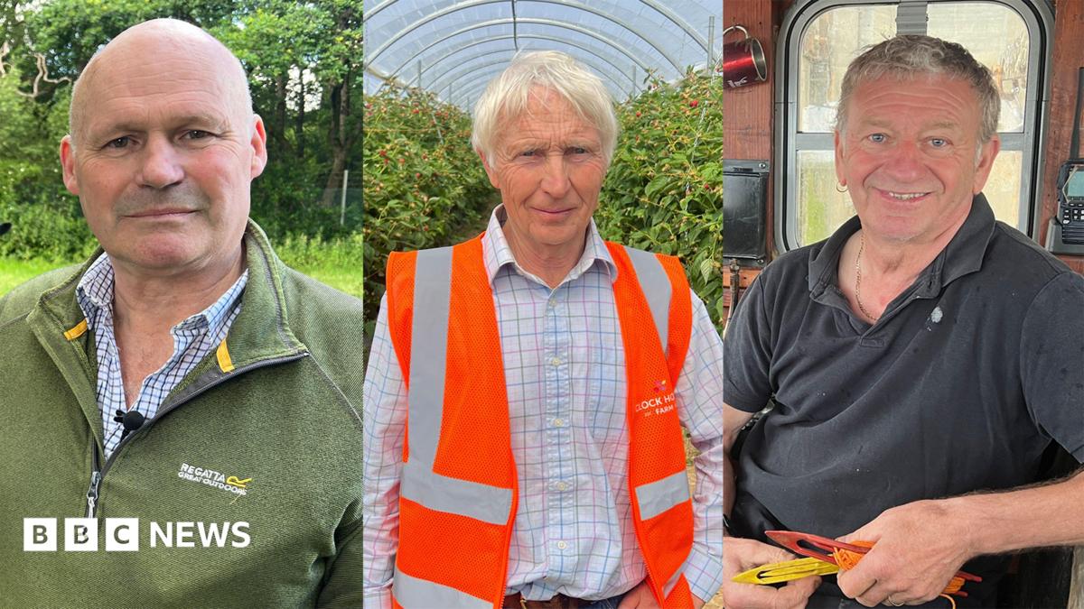 A composite image featuring three white men looking at the camera.  The image on the left  is a balding man with a green half-zip fleece. The central image is of a white-haired man wearing an orange high vis vest and a white chequered shirt. The right image is of a grey-haired man wearing a blue polo shirt.