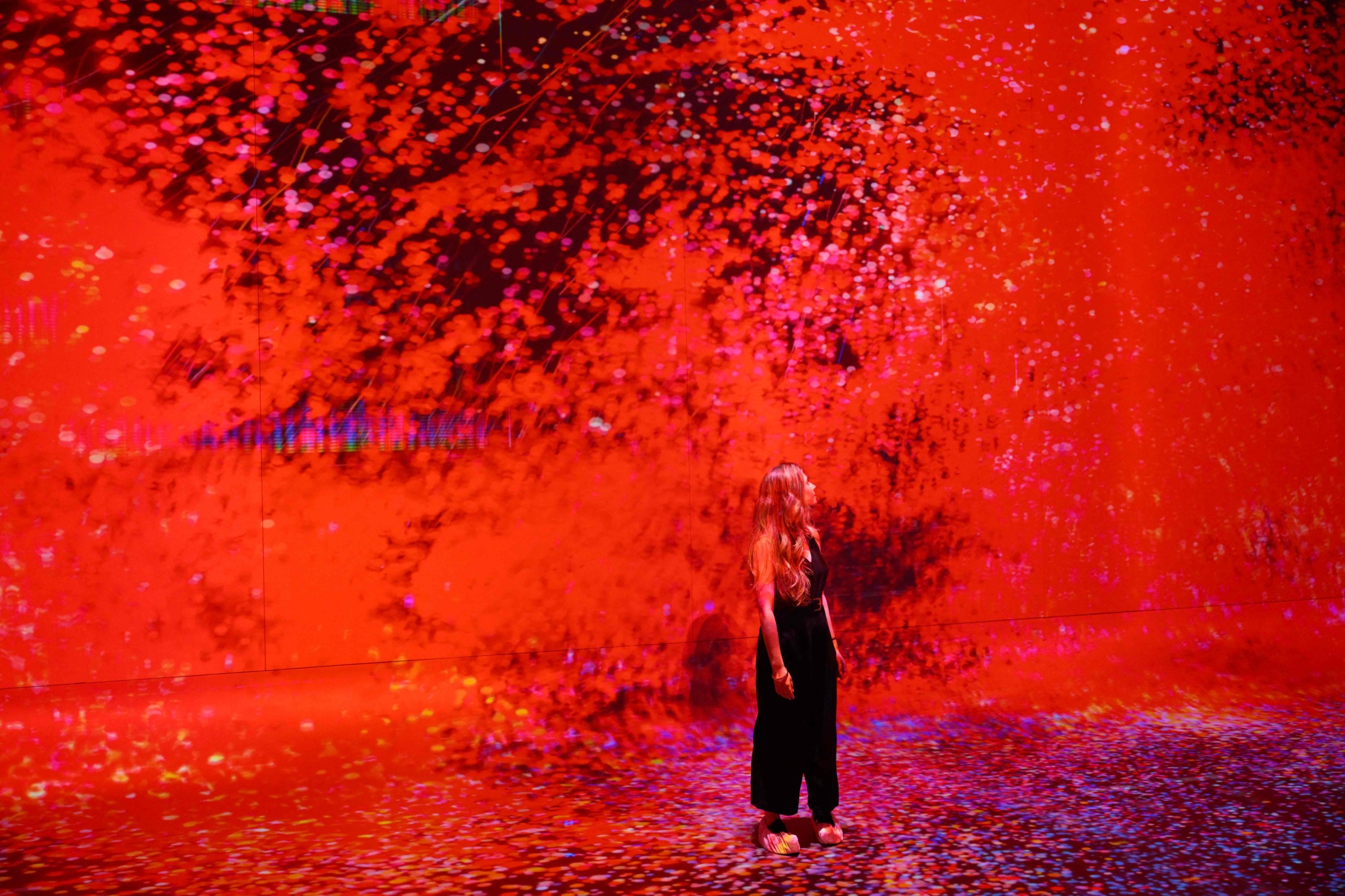 A person walks through immersive visualizations from the inaugural exhibition Machine Dreams: Rainforest are projected at DATALAND, the Museum of AI Arts, Los Angeles, U.S., June 9, 2026. (AFP Photo)