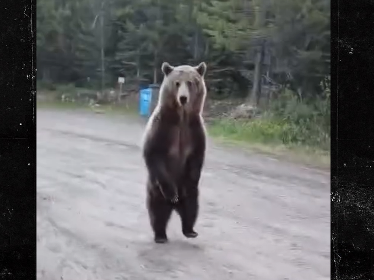 062626 bear standoff SG2