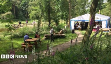 A path running through a woodland, leading to a white and blue tent. People can be seen walking or sitting on wooden benches.