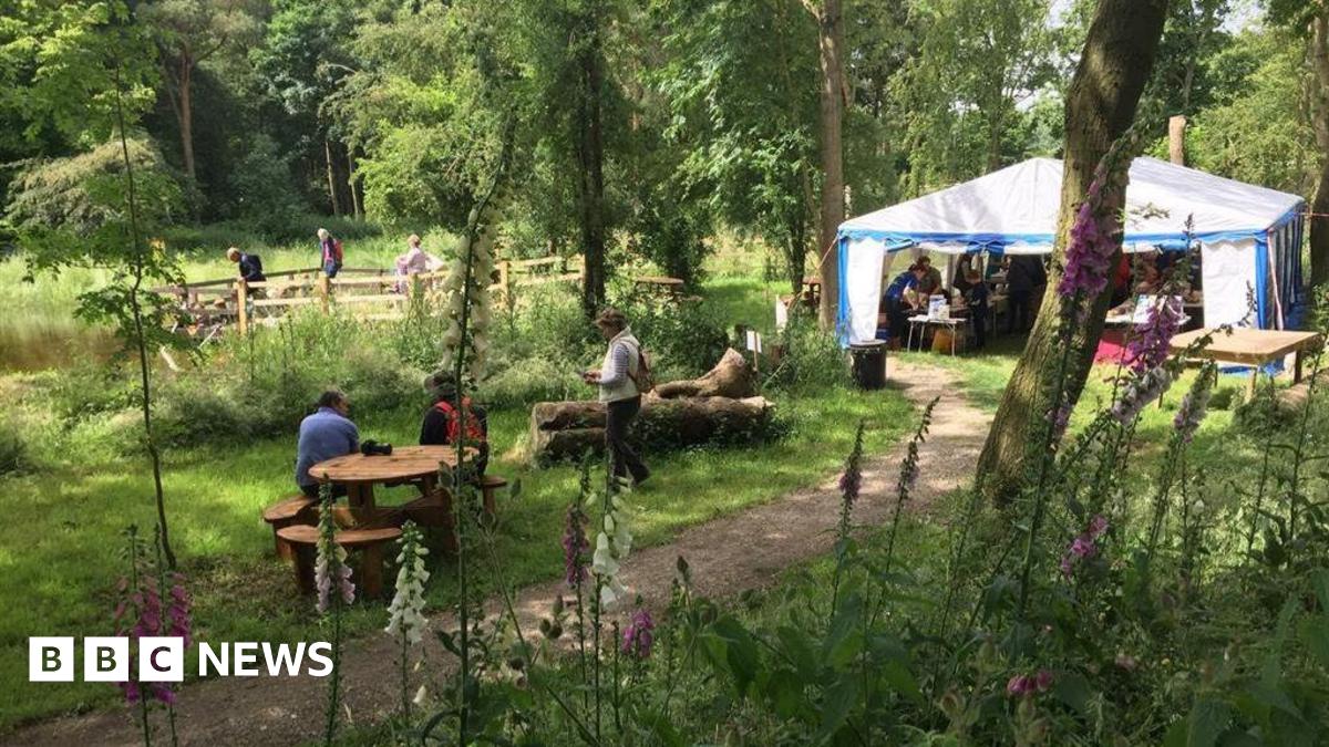 A path running through a woodland, leading to a white and blue tent. People can be seen walking or sitting on wooden benches.