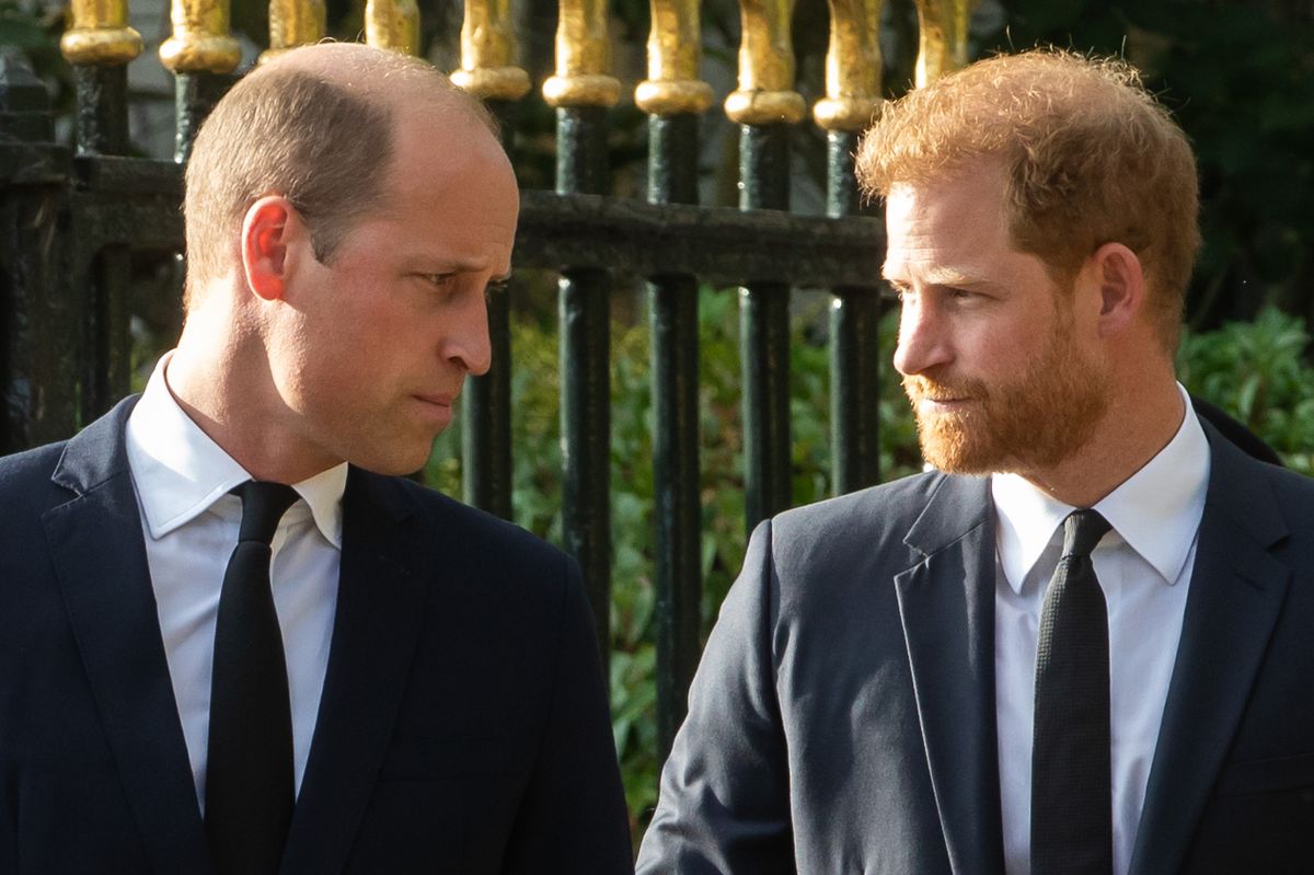 harry william 