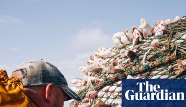 Bycatch has ‘shocking’ toll on British marine life, first-ever analysis reveals | Marine life