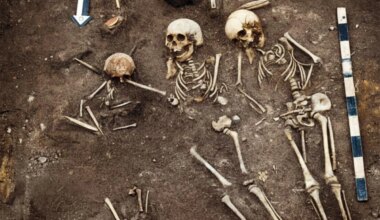 5,500-year-old plague outbreak killed Siberian hunter-gatherers, ancient DNA reveals