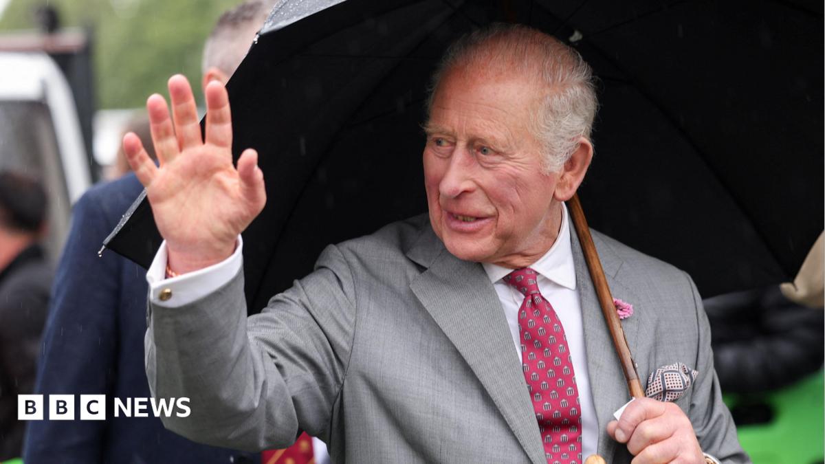 King Charles smiles and waves while sheltering under an umbrella