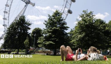 A woman lies in the sun, on the grass, with the London Eye in the background