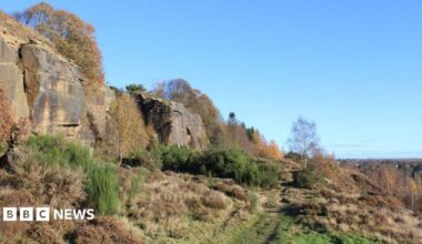 A rock face with moorland and a few trees