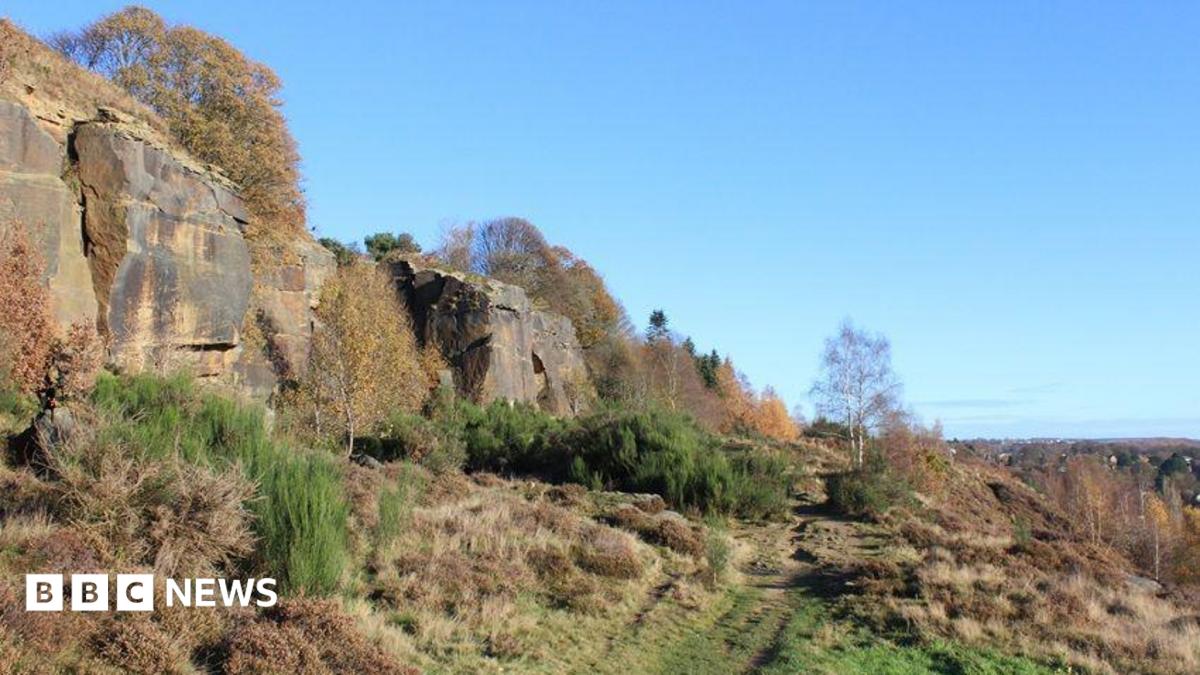 A rock face with moorland and a few trees