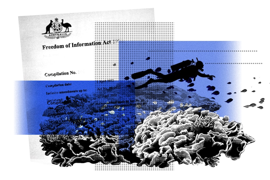 A collage with a reef theme, corals and a scuba diver on blue background.