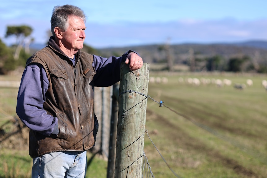 a farmer leans against a fence post overlooking a paddock of sheep