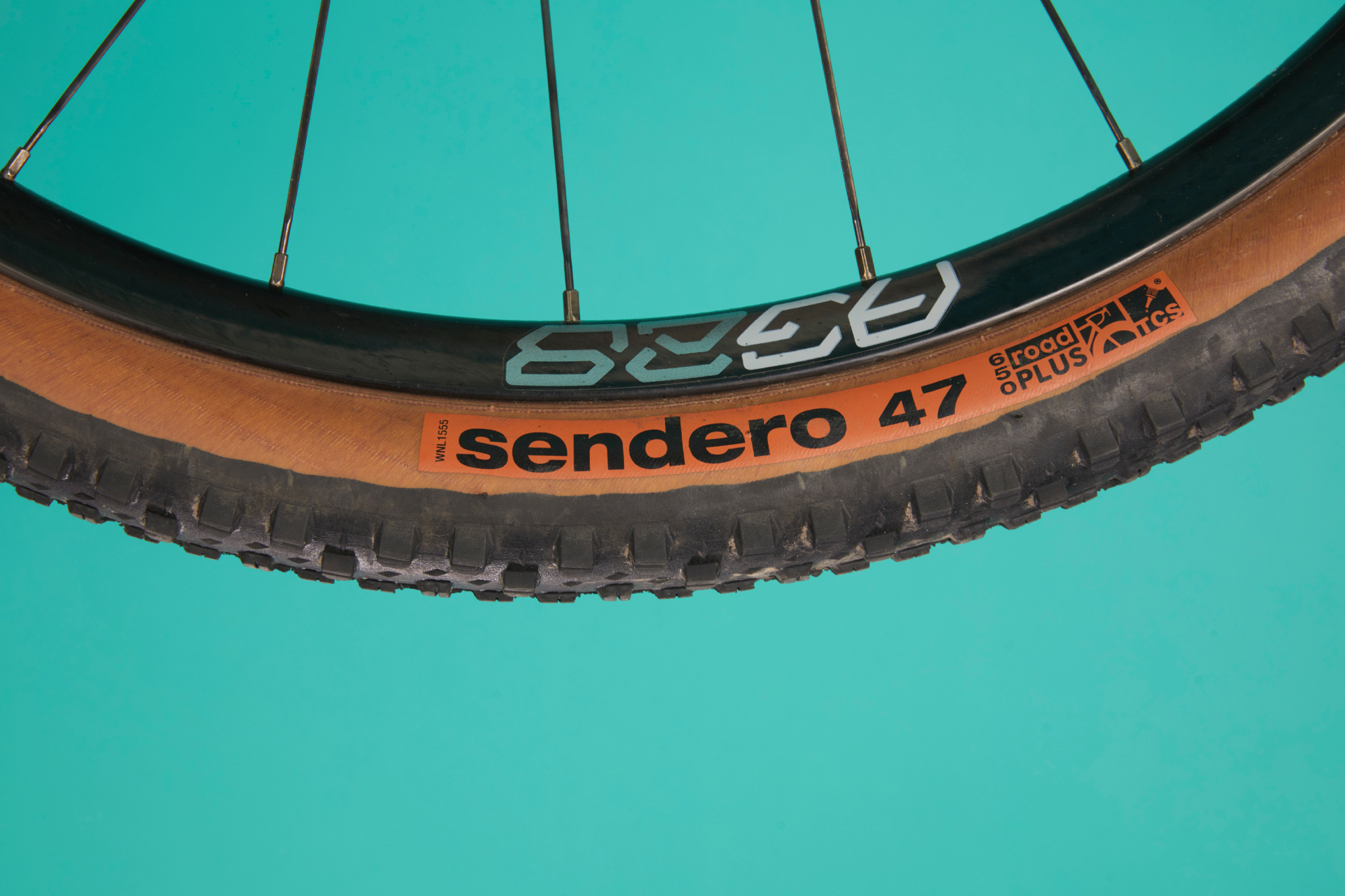 Ribble Gravel SL Pro wheel fitted with a WTB Sendero 650b x 57c tyre on a blue studio background