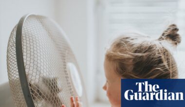 Heatwave pushes Great Britain’s grid operator to call for extra electricity from power plants | Energy industry