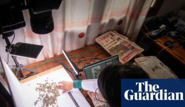 AI could help win ‘race against extinction’ of vital plants, say botanists | Plants