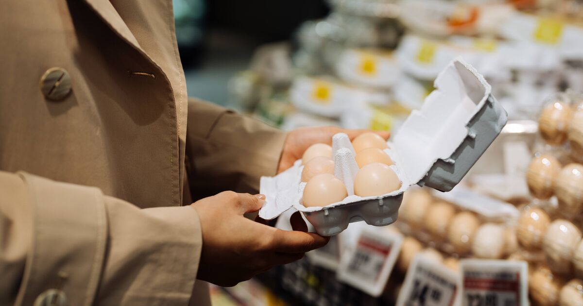 Stop recycling egg boxes immediately and instead use them in 1 area