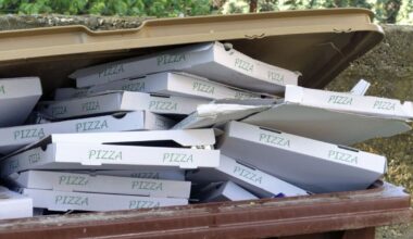 Binman settles debate on which bin is right for takeaway boxes