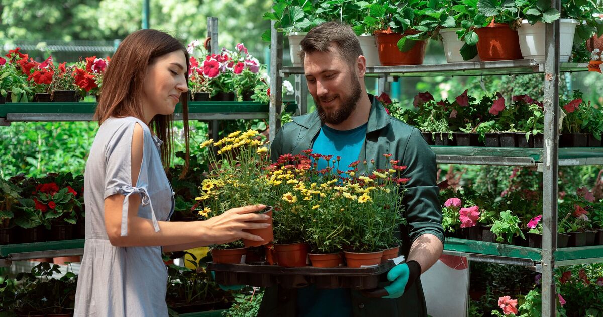 UK garden centre giant plunged into administration owing £803m | UK | News