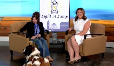 Annual Light up the Night fundraiser supports local mental health resources | News