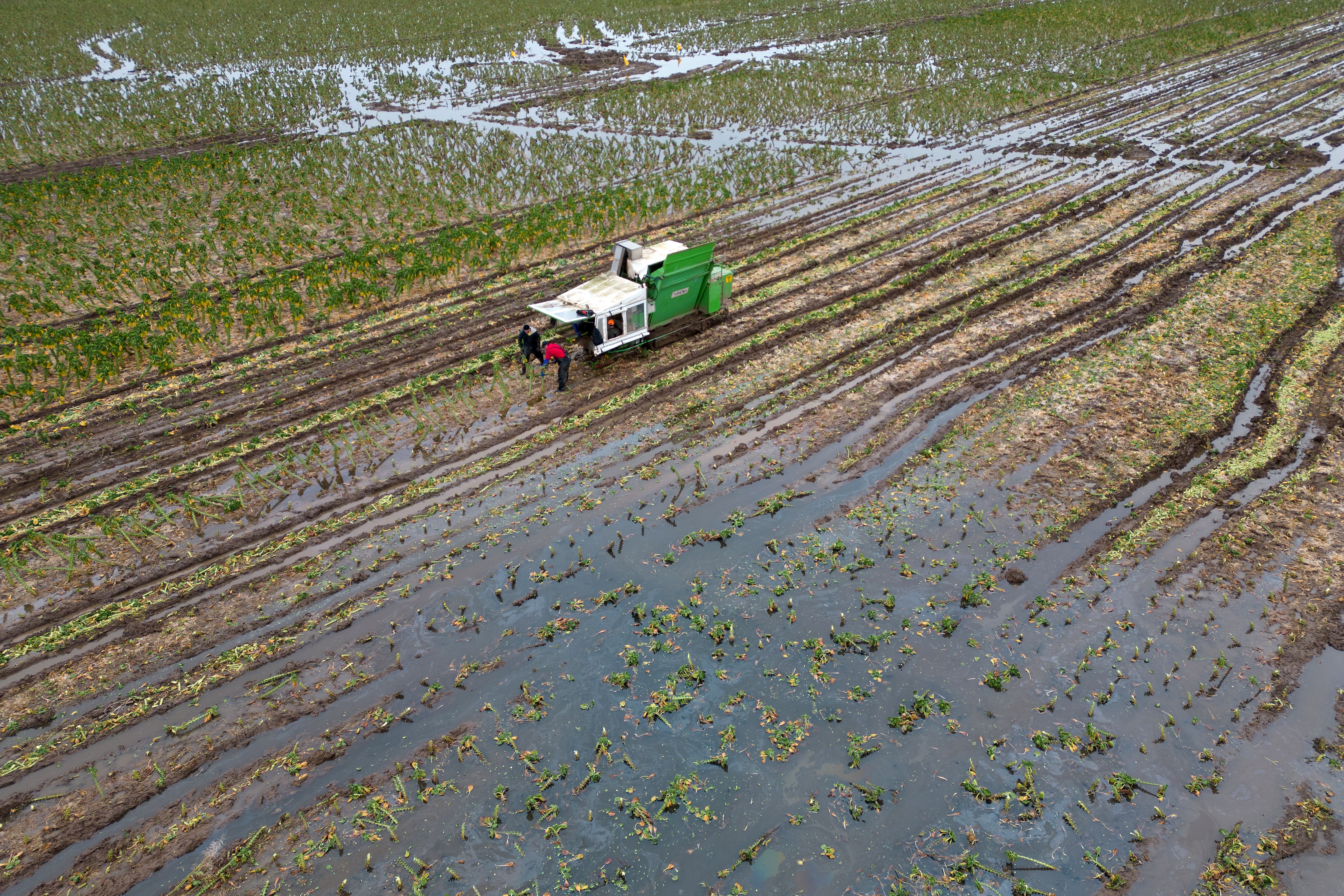 Flooding on a farm near Boston, Lincolnshire, which is a Reform UK constituency (Joe Giddens/PA)