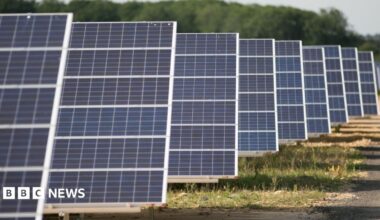 Rows of blue solar panels mounted on metal frames stretch diagonally across a field, forming a solar farm. The panels are arranged in parallel lines, with the nearest panels in sharp focus and those further away gradually fading into the background. A dirt track runs alongside the installation, and low grass and small plants grow beneath and between the structures. In the distance, a blurred line of green trees borders the site under a clear, pale sky.