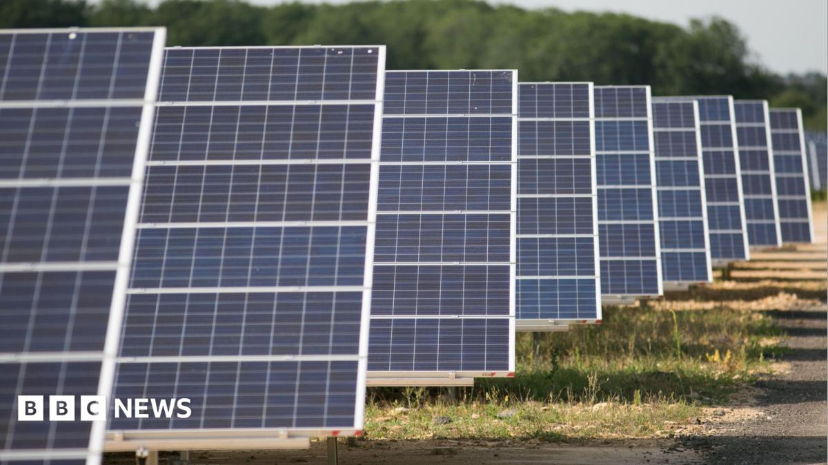 Rows of blue solar panels mounted on metal frames stretch diagonally across a field, forming a solar farm. The panels are arranged in parallel lines, with the nearest panels in sharp focus and those further away gradually fading into the background. A dirt track runs alongside the installation, and low grass and small plants grow beneath and between the structures. In the distance, a blurred line of green trees borders the site under a clear, pale sky.