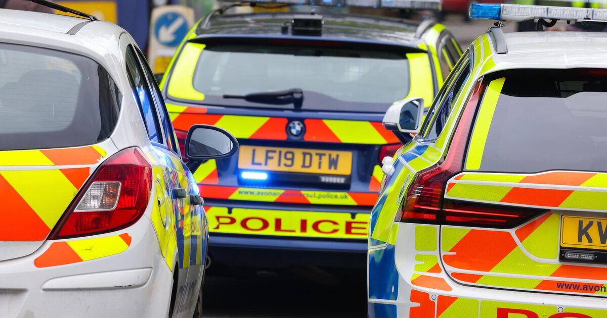 Essex plane crash: Emergency services scrambled to scene in High Ongar | UK | News