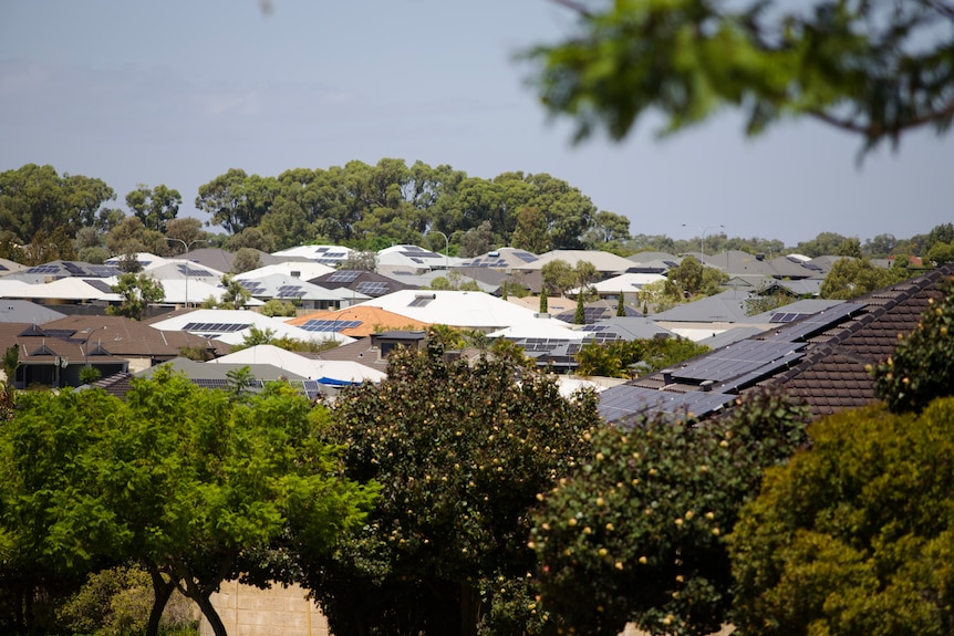 A zoomed in shot of houses with solar among trees.