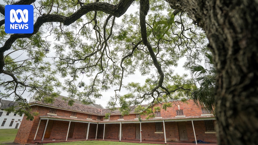 Queensland minister Tim Nicholls 'acknowledges trauma' of Wolston Park survivors but does not apologise
