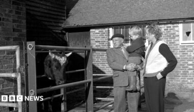 A man, Pablo Picasso, holding a child while stood next to a woman, Lee Miller. They are looking at a cow in a pen.