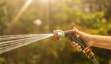 Hosepipe ban map: Is my area under restrictions during record UK heatwave?