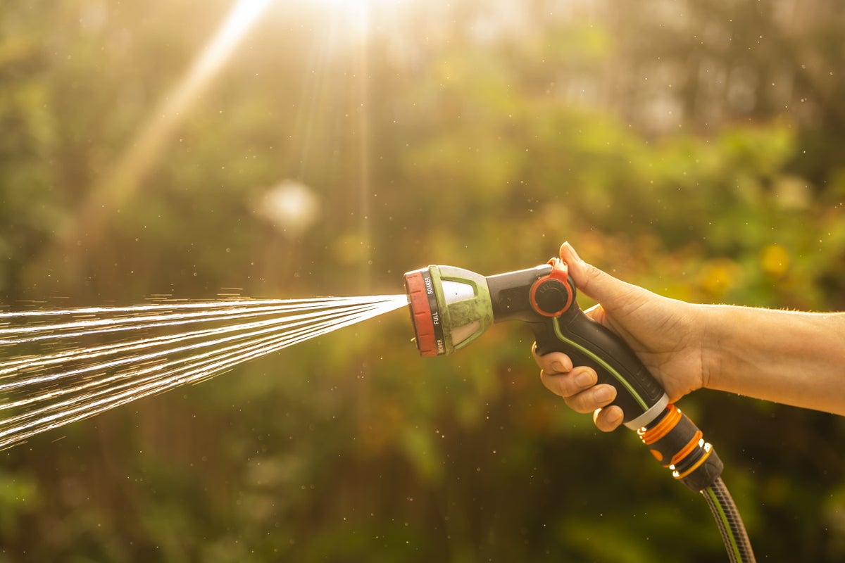 Hosepipe ban map: Is my area under restrictions during record UK heatwave?
