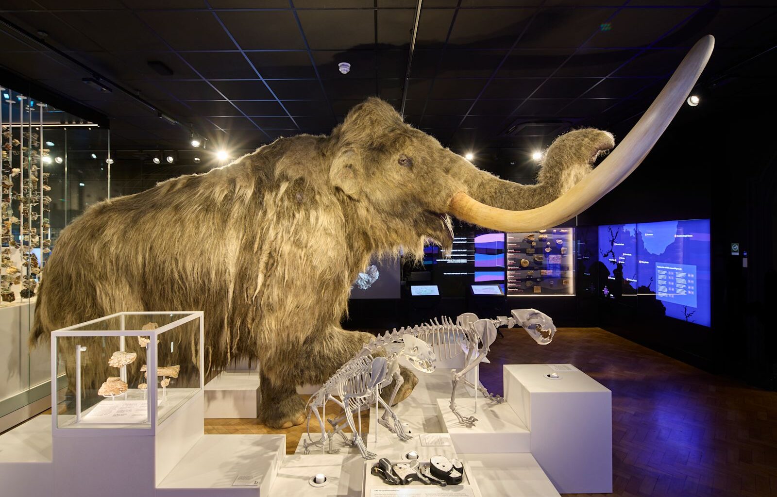 The Box wins national museum award