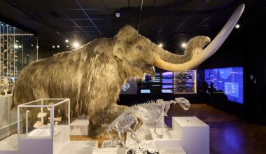 The Box wins national museum award