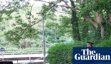 Three teenagers arrested over death of man in Essex | UK news