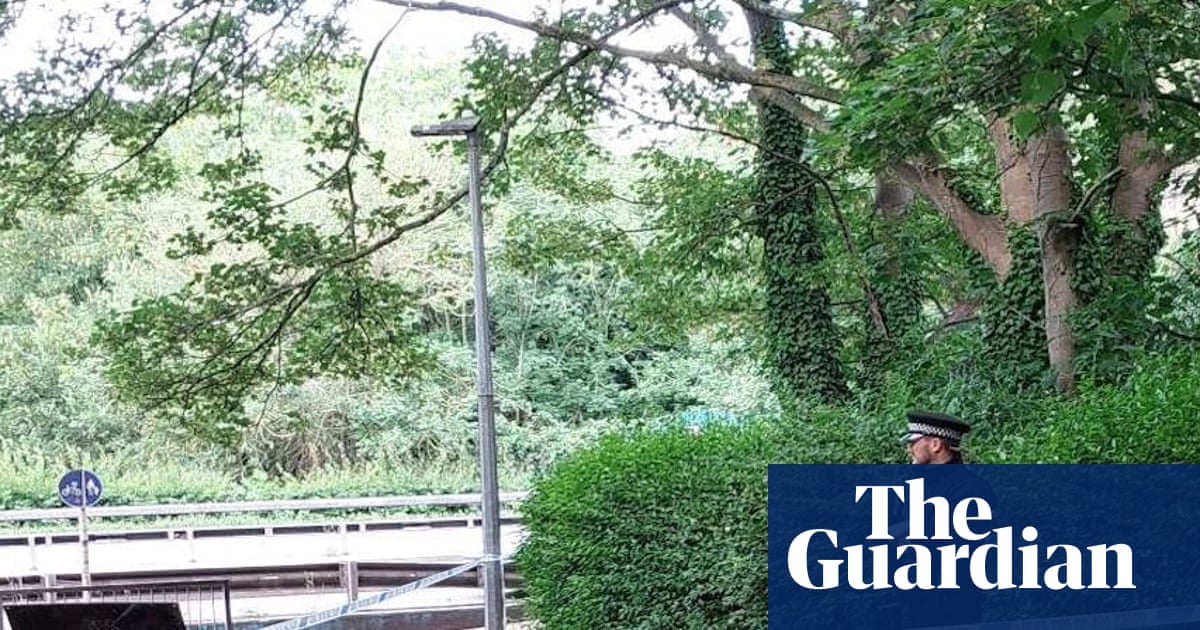 Three teenagers arrested over death of man in Essex | UK news