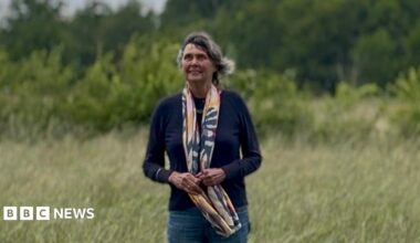 Helen Lewy is pictured standing in a field looking up to the sky. She is an older woman with dark grey hair that is blowing in the wind. Helen is wearing a navy jumper and a navy, pink, yellow and cream patterned scarf, the bottom of which she is holding.