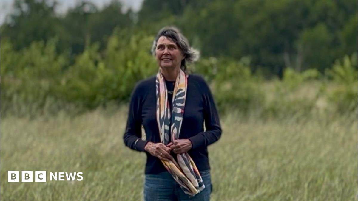 Helen Lewy is pictured standing in a field looking up to the sky. She is an older woman with dark grey hair that is blowing in the wind. Helen is wearing a navy jumper and a navy, pink, yellow and cream patterned scarf, the bottom of which she is holding.