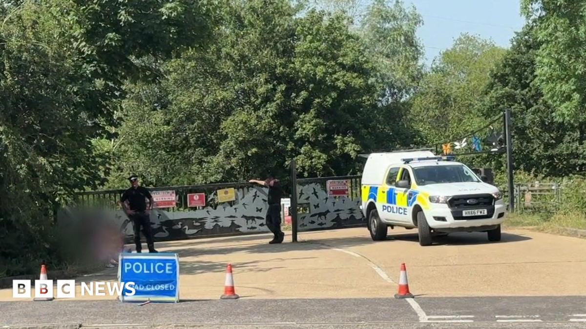 Police car and cones outside lake entrance.