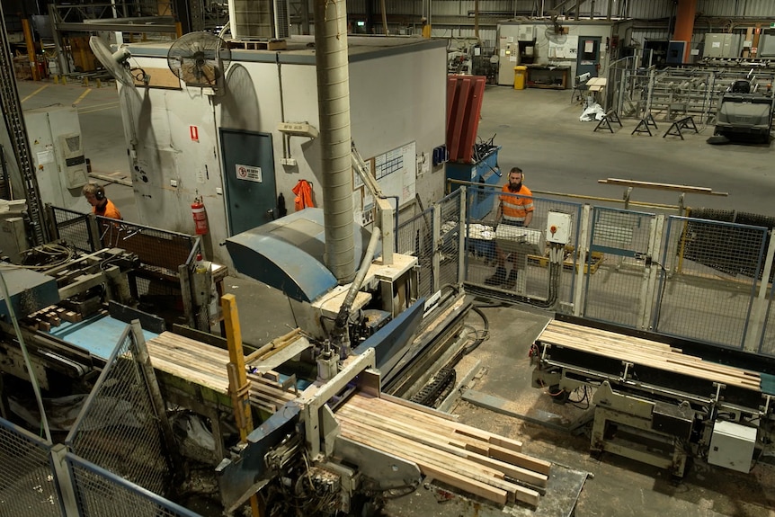 Lengths of timber sit on conveyor belts of large machines in a factory. A couple of workers can be seen standing nearby.