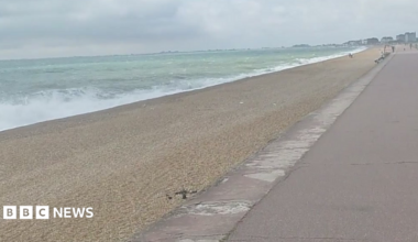 Seabrook beach, in Kent. There is a long stretch of sand in front of the sea with a path alongside.