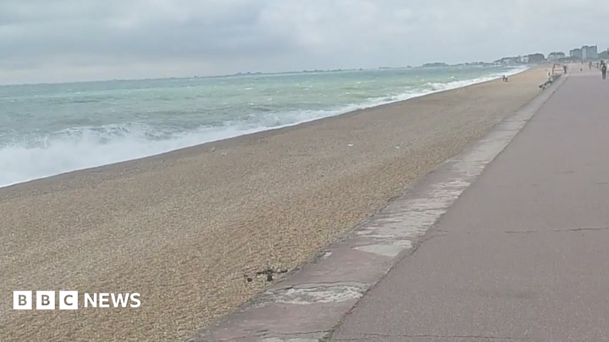Seabrook beach, in Kent. There is a long stretch of sand in front of the sea with a path alongside.