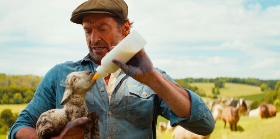 Hugh Jackman, The Sheep Detectives hugh jackman, the sheep detectives