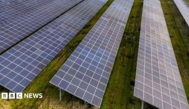 Solar panels in rows in a field.