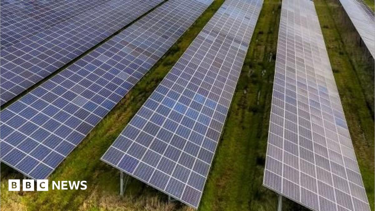 Solar panels in rows in a field.