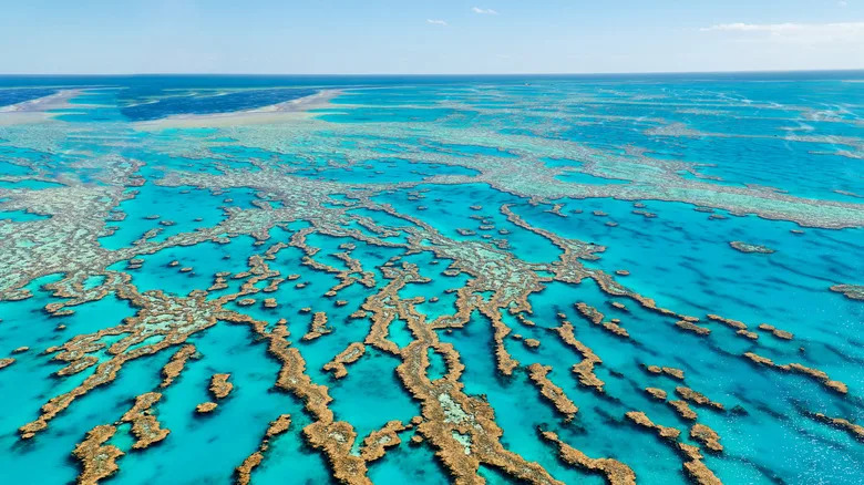 Australia's Great Barrier Reef