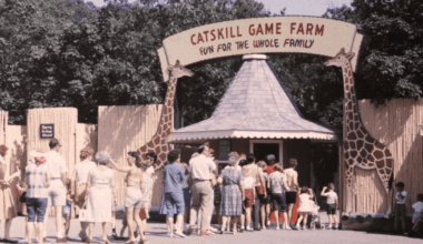 New Documentary American Zoo Bridges Nostalgia and the Unbelievable 