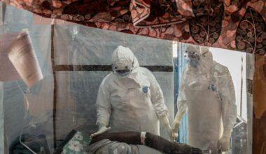 France confirms first Ebola case in doctor returning from DR Congo