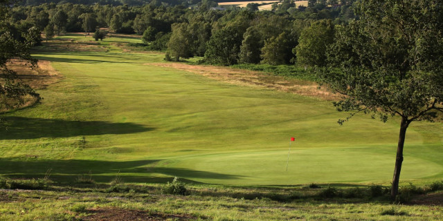 Royal Ashdown Forest