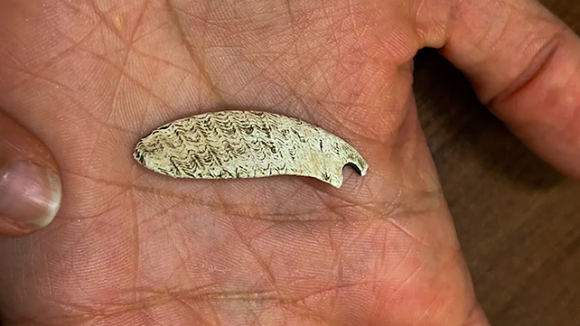 Shell pendant