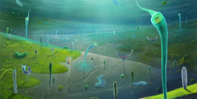 Artist’s Impression of Earth’s Earliest Complex Animals During the Late Ediacaran Period